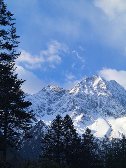 SEO黑帽站群